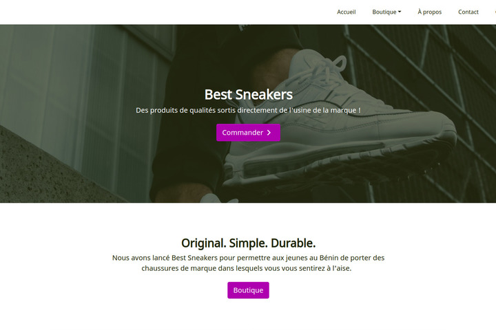 Website template Best sneakers