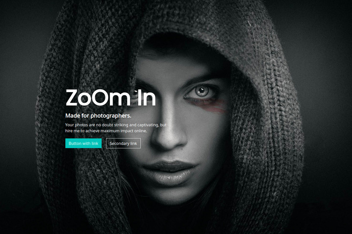 Website template ZoOm In